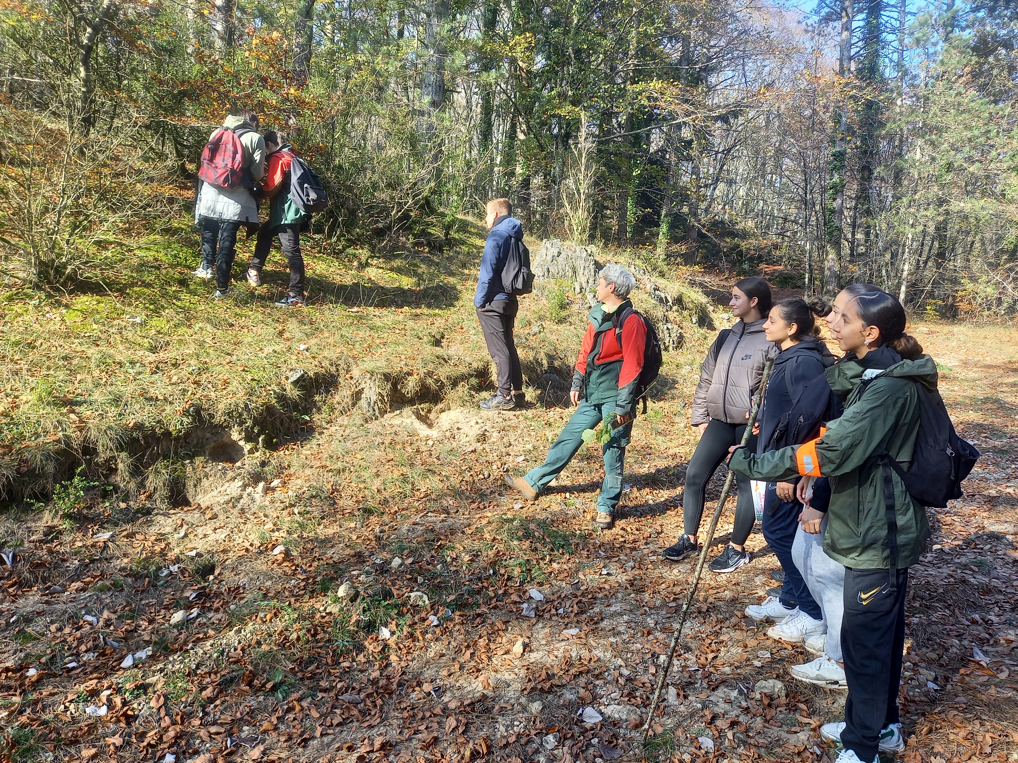 les-collegiens-de-lodeve-decouvrent-la-foret