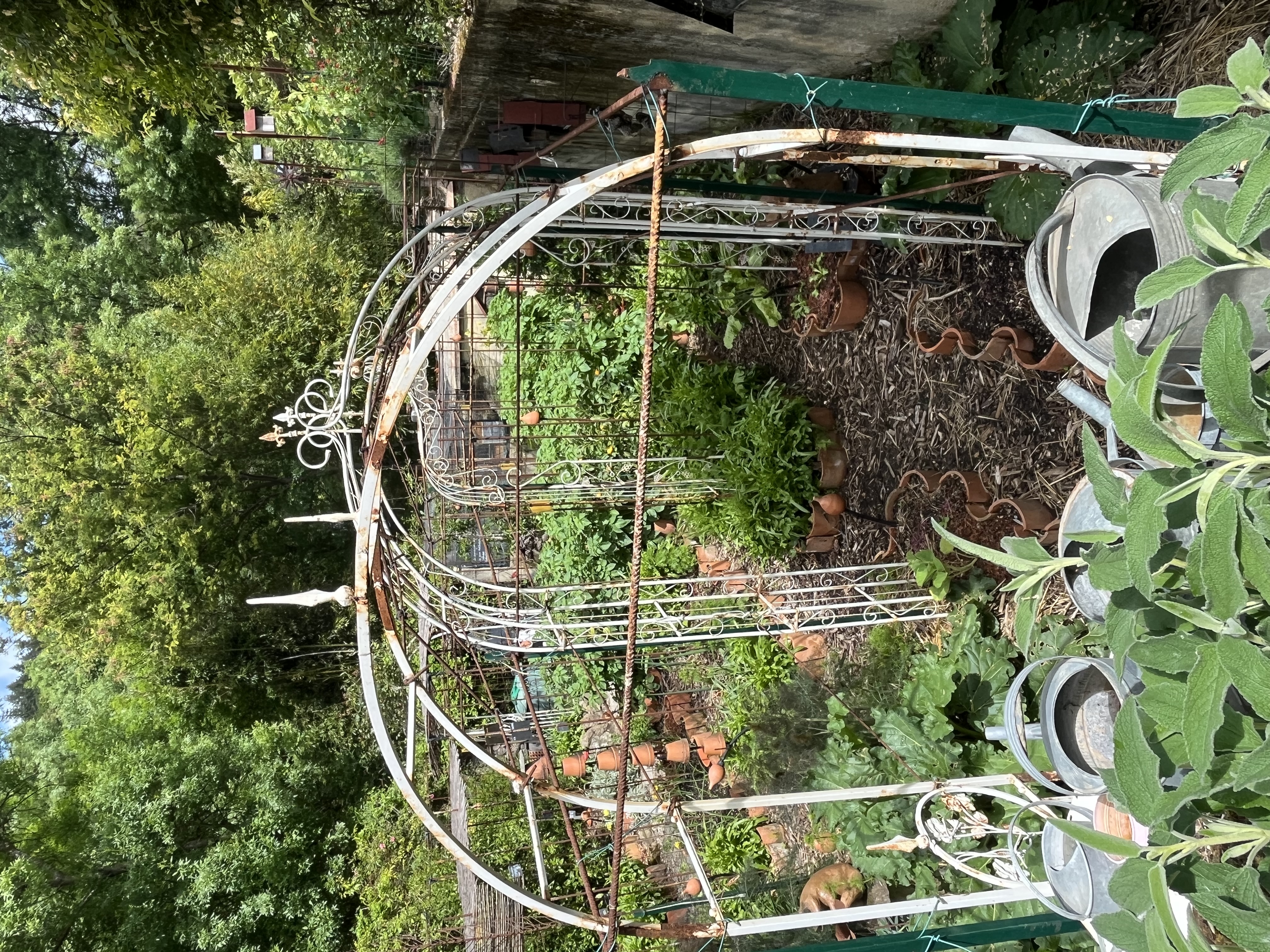 Jardin de Cathy potager bas
