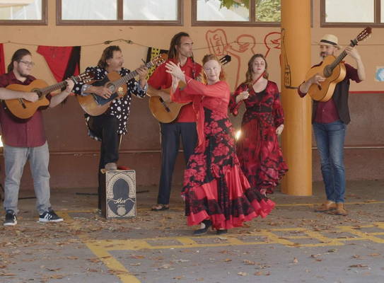 Raices Flamencas 1