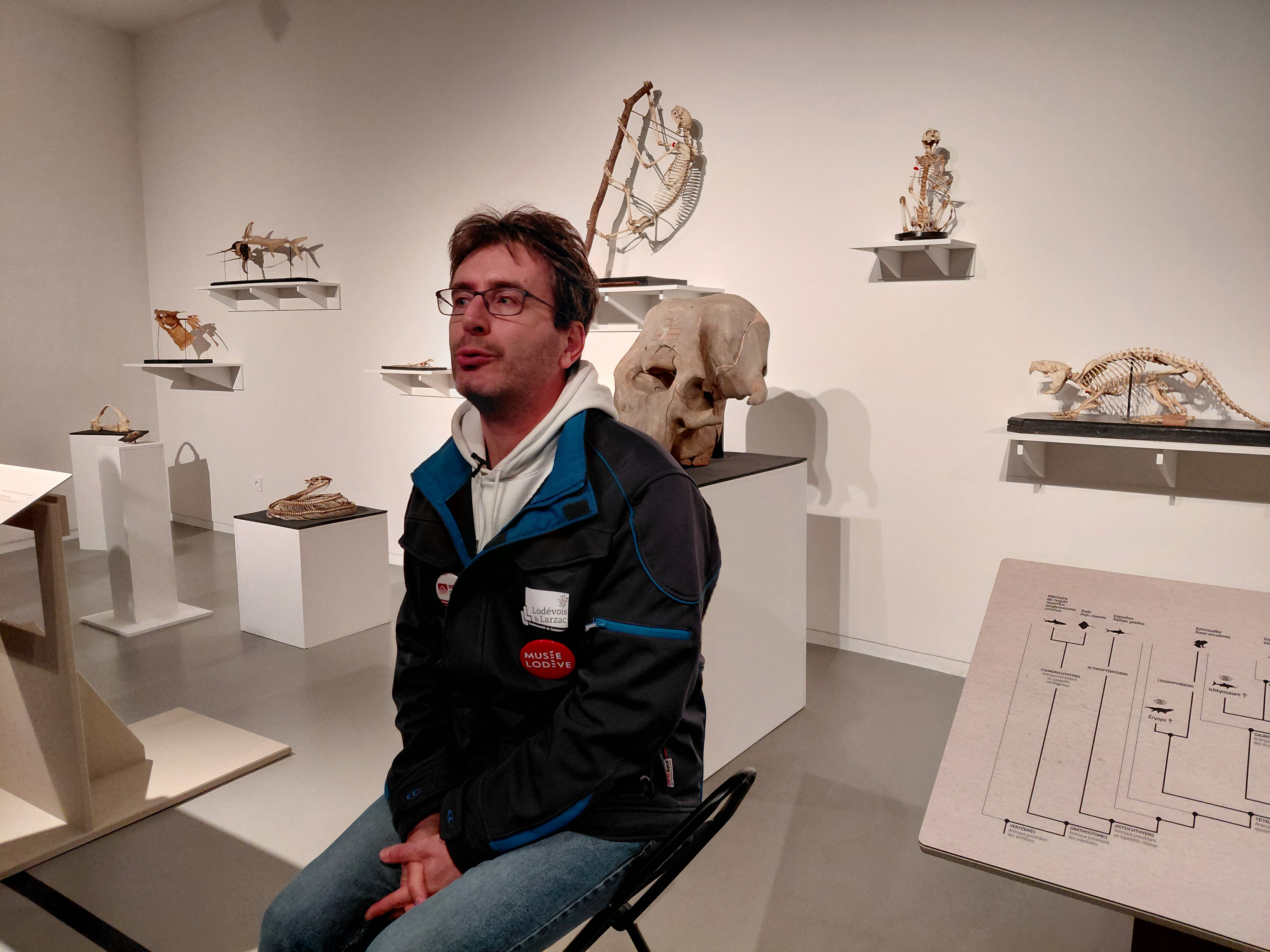 UN CROCODILE MARIN UNIQUE AU MUSEE DE LODEVE UN CROCODILE MARIN UNIQUE AU MUSEE DE LODEVE