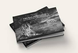 RAPHAEL COLICCI SORT SON DERNIER LIVRE RAPHAEL COLICCI SORT SON DERNIER LIVRE