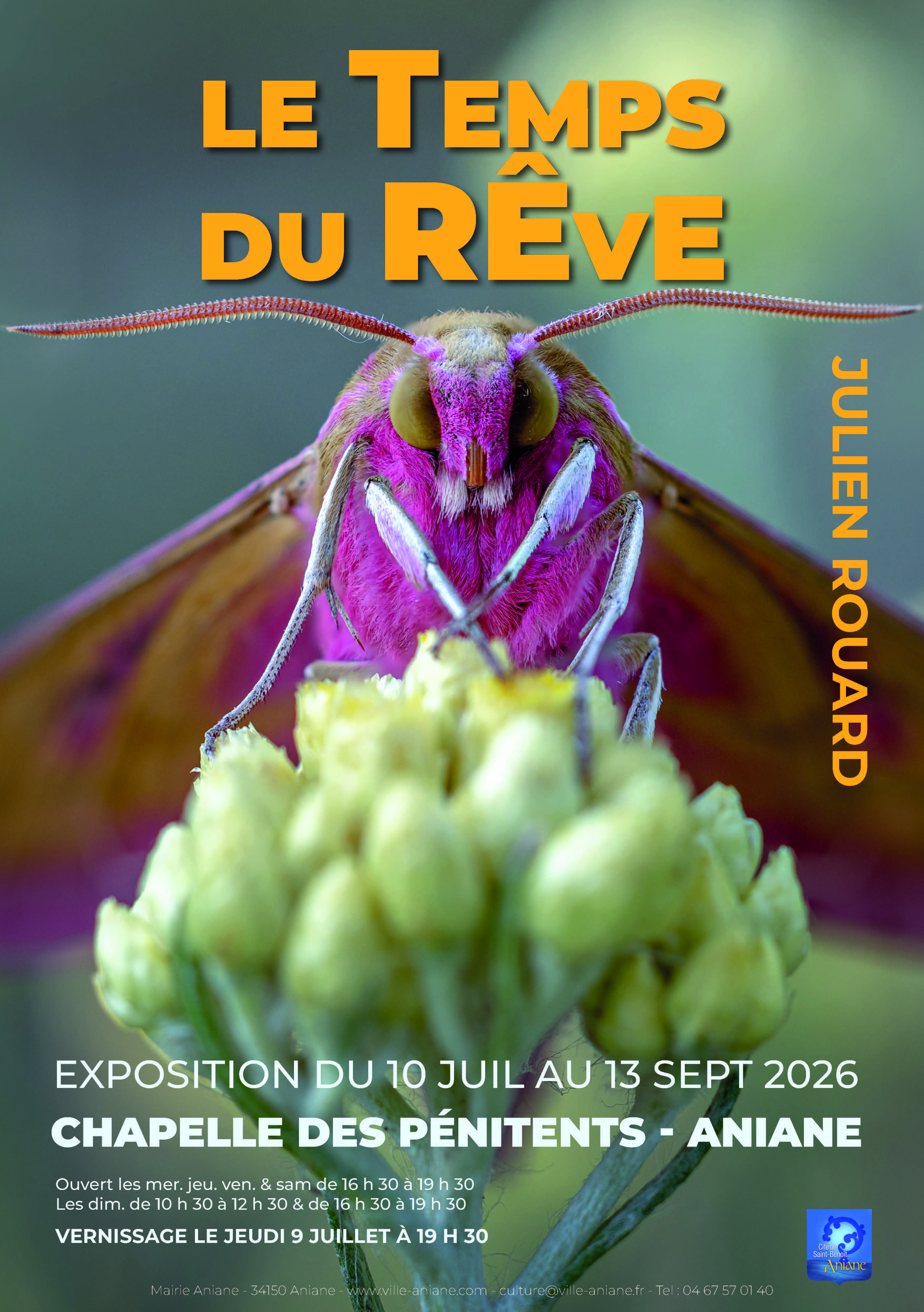 LE TEMPS DU REVE LE TEMPS DU REVE