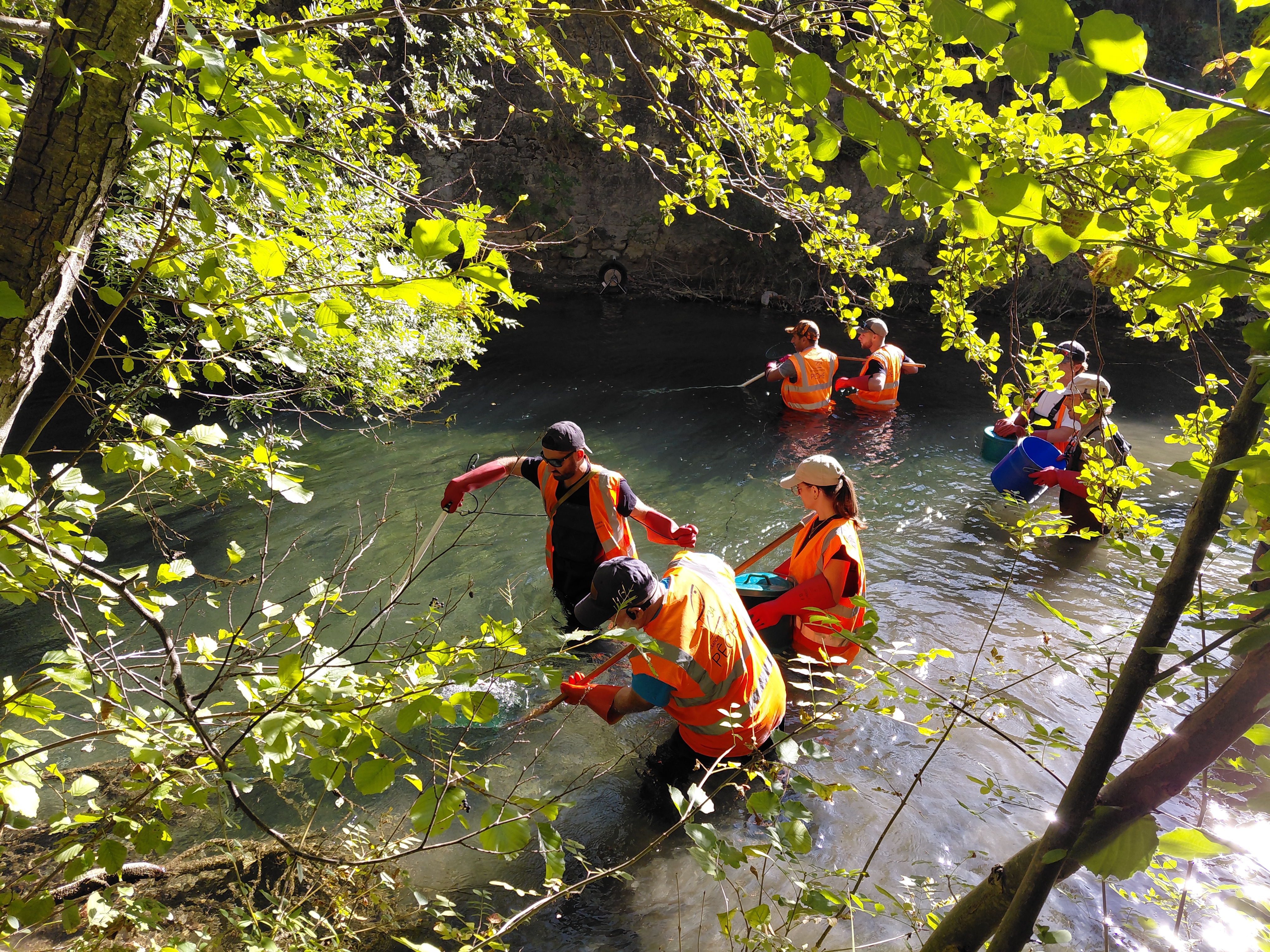 PÊCHE ELECTRIQUE DANS LES RIVIÈRES DE LODEVE 
